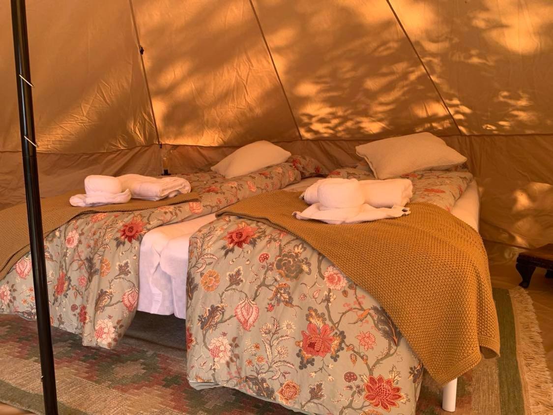 Hotel Glamping Mi Casa Tu Casadk Vissenbjerg Zewnętrze zdjęcie