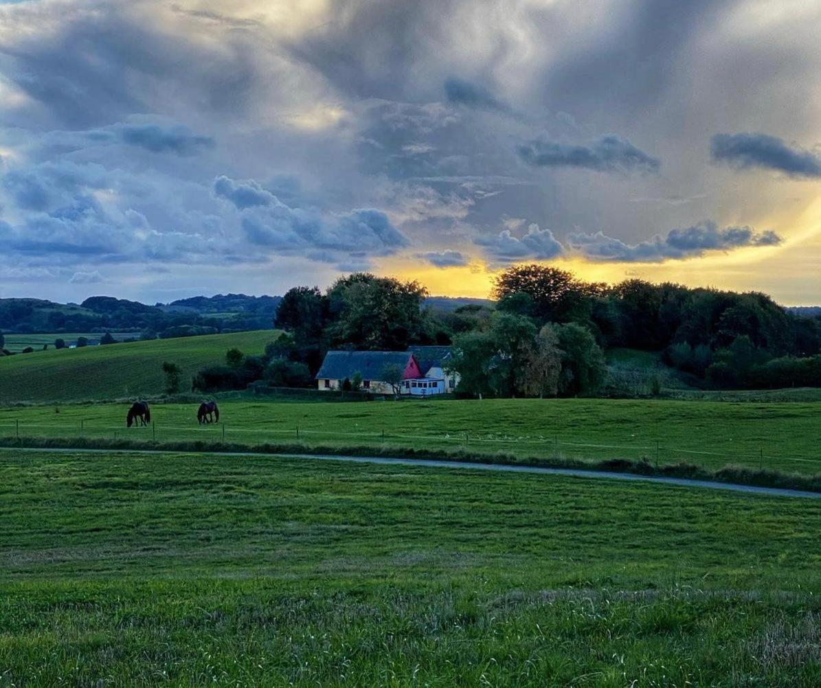 Hotel Glamping Mi Casa Tu Casadk Vissenbjerg Zewnętrze zdjęcie