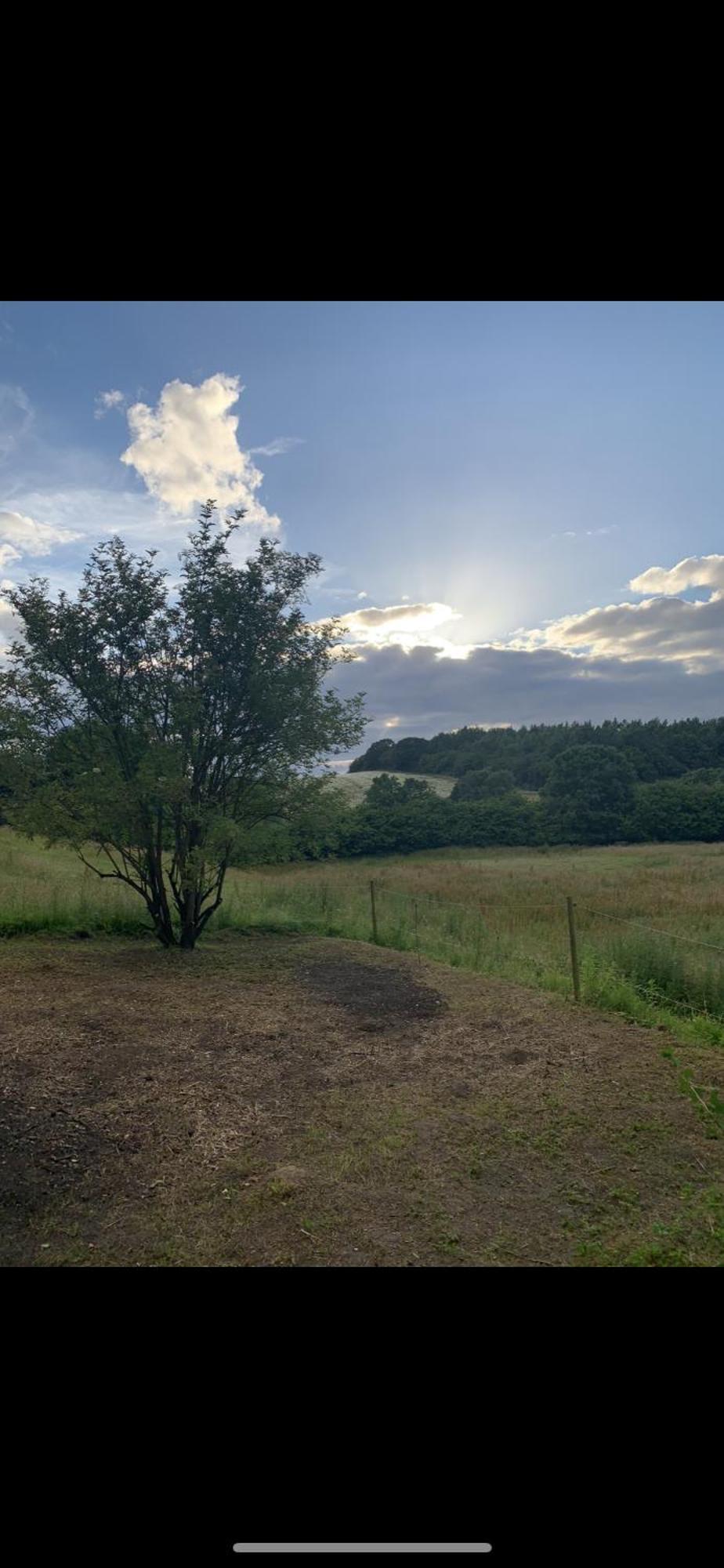 Hotel Glamping Mi Casa Tu Casadk Vissenbjerg Zewnętrze zdjęcie